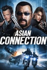 Tehlikeli Soygun, The Asian Connection izle 2016