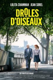 Drôles d’oiseaux, Drôles d’oiseaux izle 2017