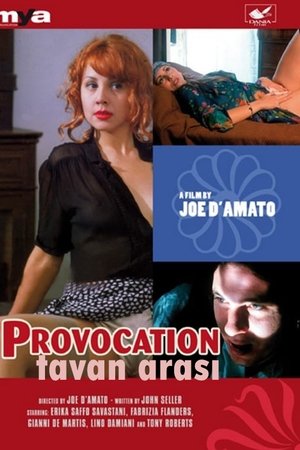 Tavan Arası 1995 Türkçe Dublaj izle