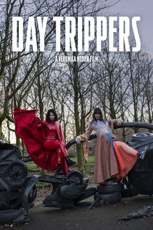 Day Trippers film izle