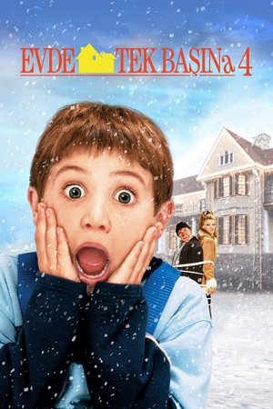 Evde Tek Başına 4 Türkçe Dublaj 1080p