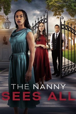 The Nanny Sees All film izle