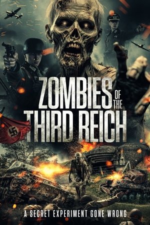 Zombies of the Third Reich film izle