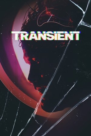 Transient | Film izle, Full Film izle, HD Film izle