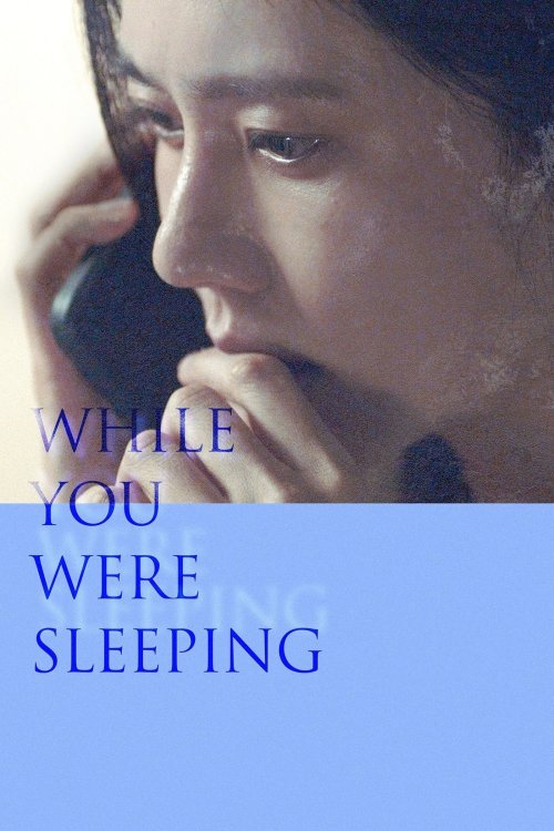 While You Were Sleeping izle