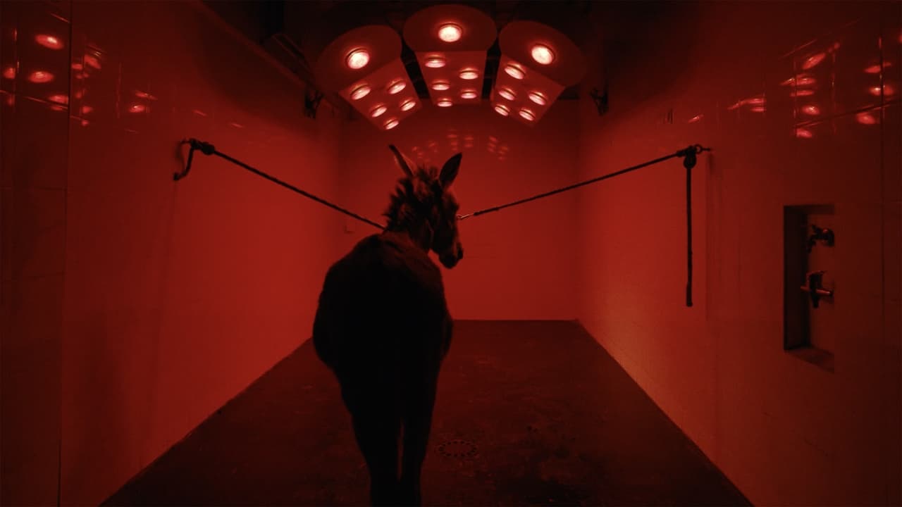 EO (Aİ) 1080p Full HD izle