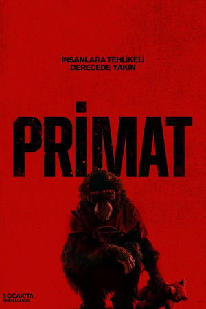 Primat izle | Film izle, Full Film izle, HD Film izle