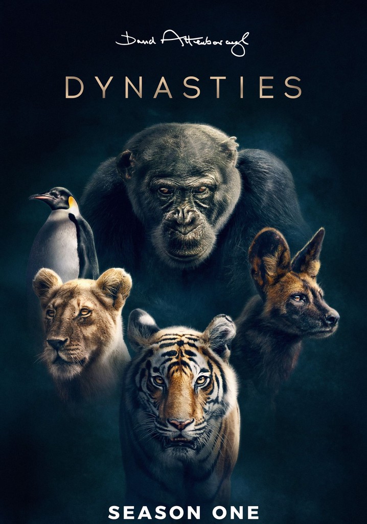 Dynasties Season 1 – watch full episodes streaming online