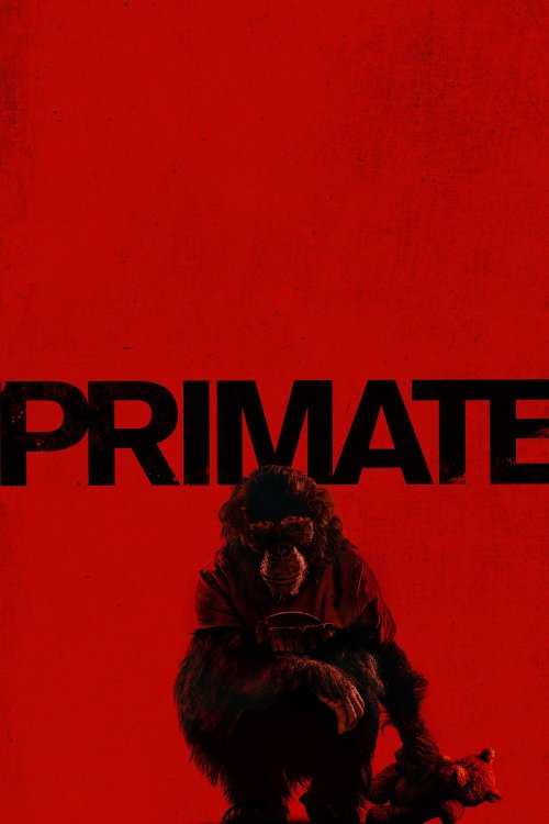 Primat izle
