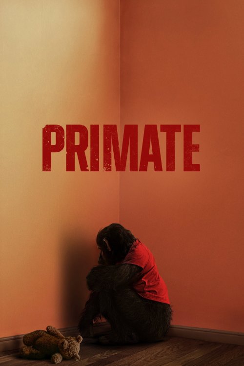 Primate izle